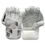 Buy GM Original LE Wicket Keeping Gloves 2025 | Premium Grip & Comfort