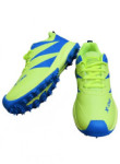 cricket shoes