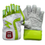 SS Players Edition Wicket Keeping Gloves 2025