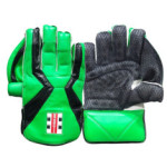 Gray Nicolls Players Edition Wicketkeeping Gloves 2025