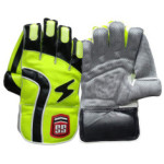 SS Professional Wicket Keeping Gloves 2025