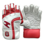 SS Limited Edition Wicket Keeping Gloves 2025