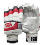 SS Premium Super Test Batting Gloves 2025